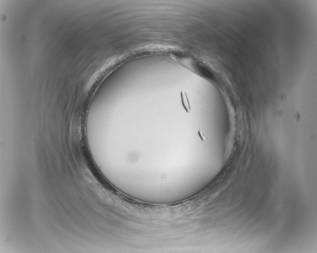 X0000052550015200507221503