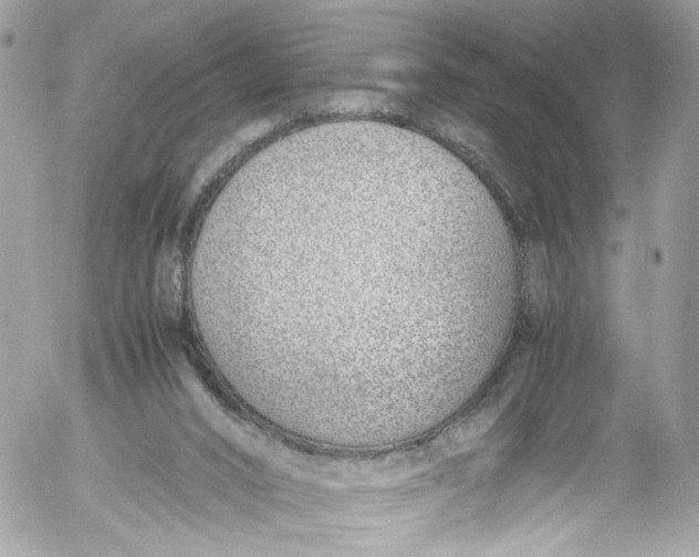 X0000052550016200507221503