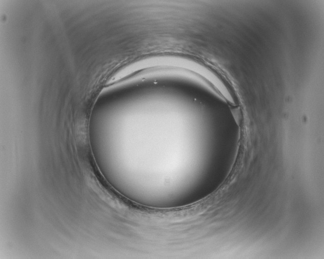 X0000052550017200507221503