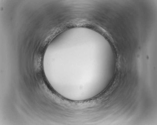 X0000052550018200507221503