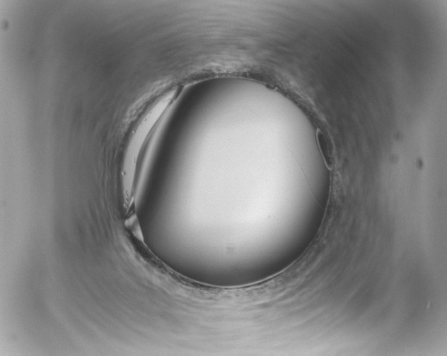 X0000052550019200507221503