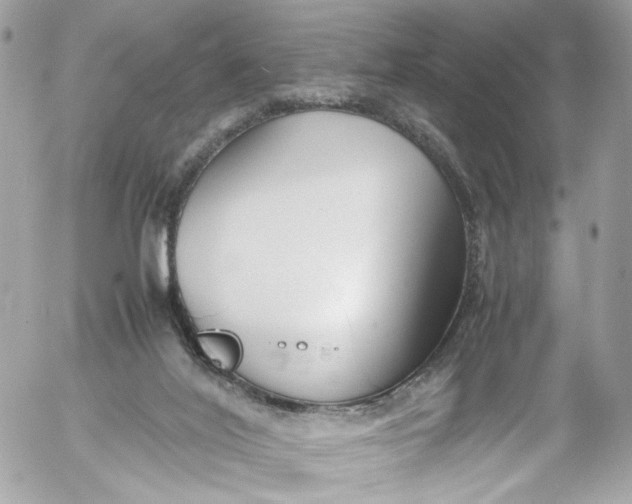 X0000052550020200507221503