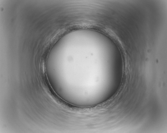 X0000052550021200507221503