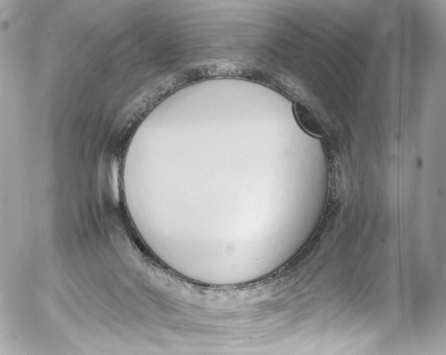 X0000052550022200507221502