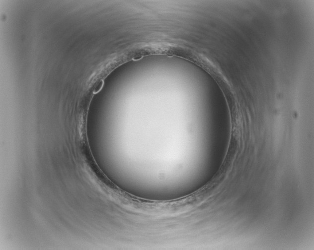 X0000052550023200507221502