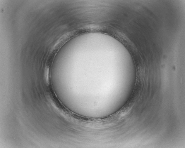 X0000052550024200507221502