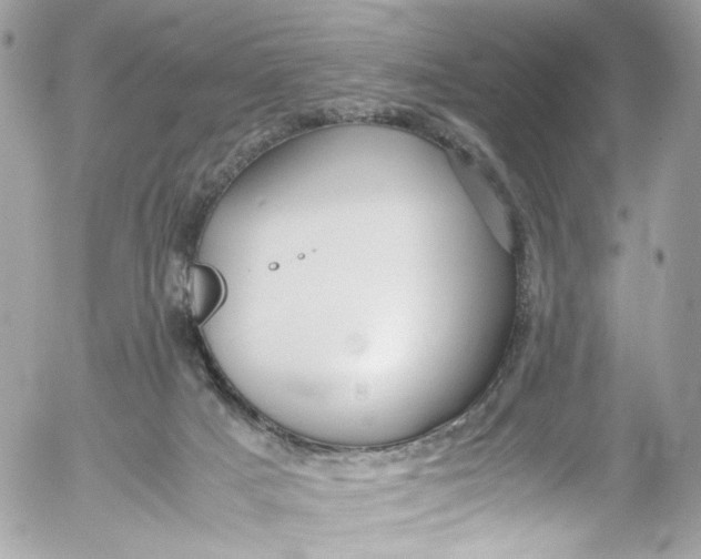 X0000052550025200507221502