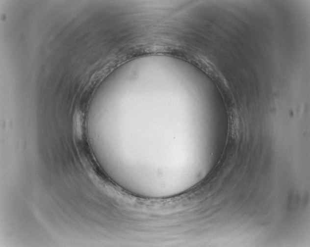 X0000052550026200507221502