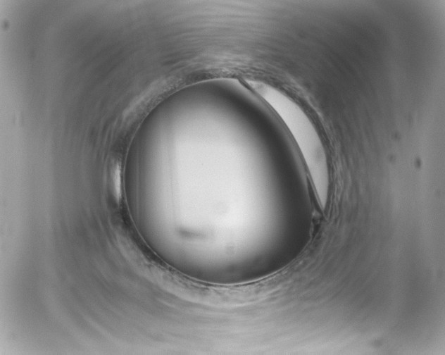 X0000052550027200507221502