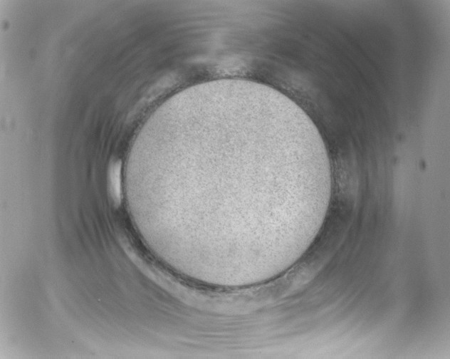 X0000052550028200507221502