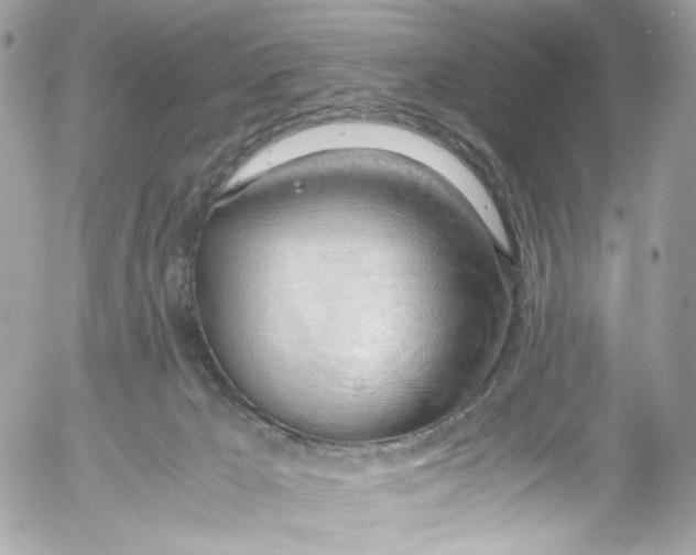 X0000052550029200507221502