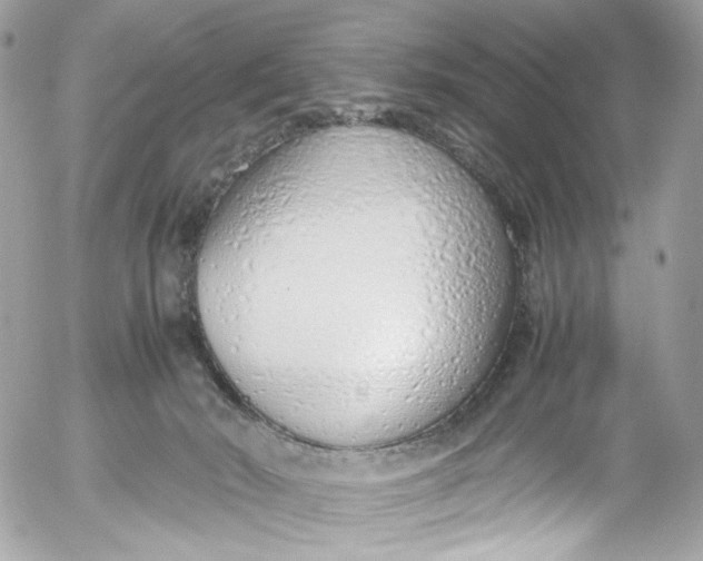 X0000052550030200507221502