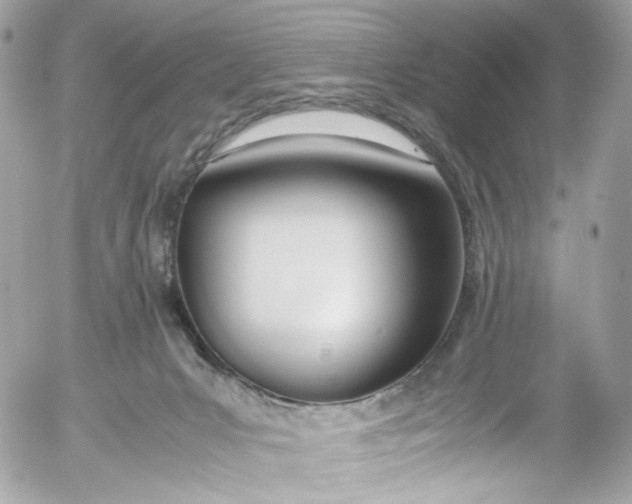 X0000052550031200507221502