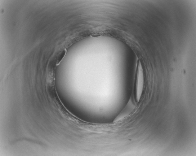 X0000052550033200507221502