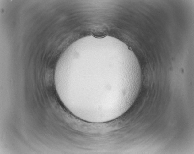 X0000052550034200507221502