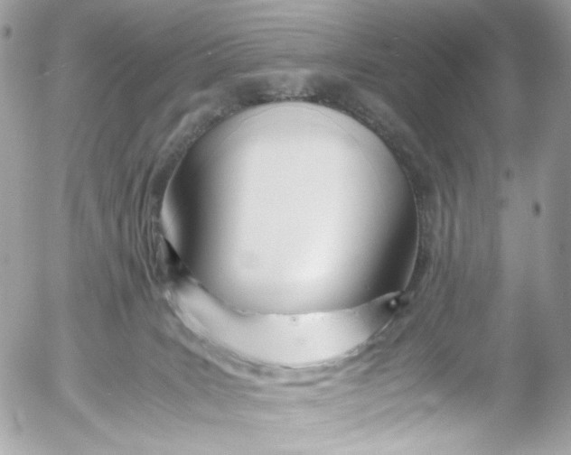 X0000052550035200507221502