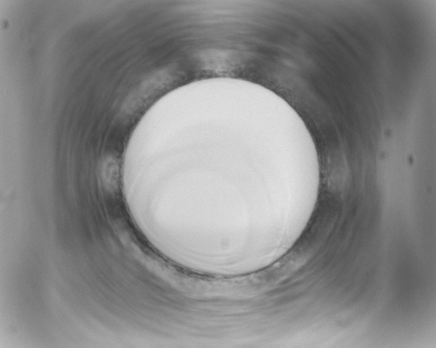 X0000052550036200507221502