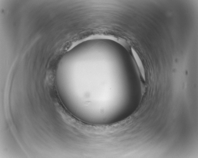 X0000052550037200507221502