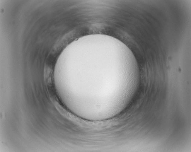 X0000052550038200507221502