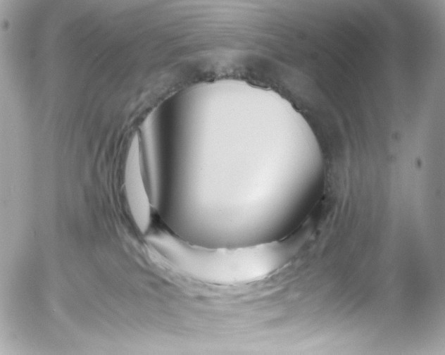 X0000052550039200507221502