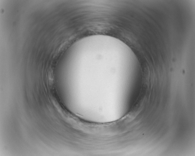 X0000052550040200507221502