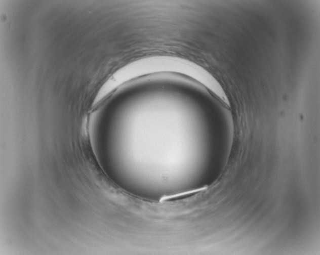 X0000052550041200507221502