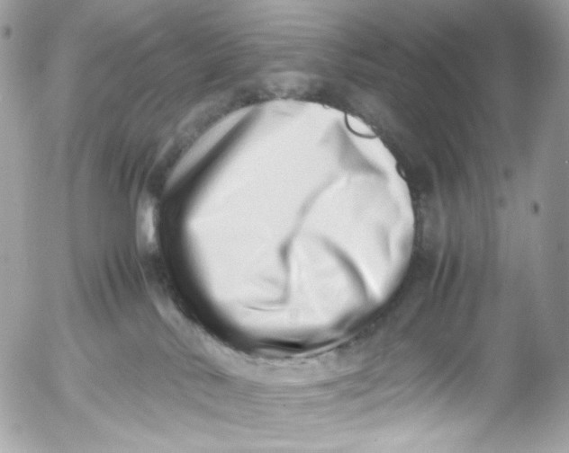 X0000052550042200507221502