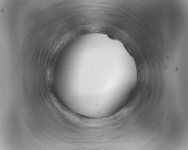 X0000052550044200507221502