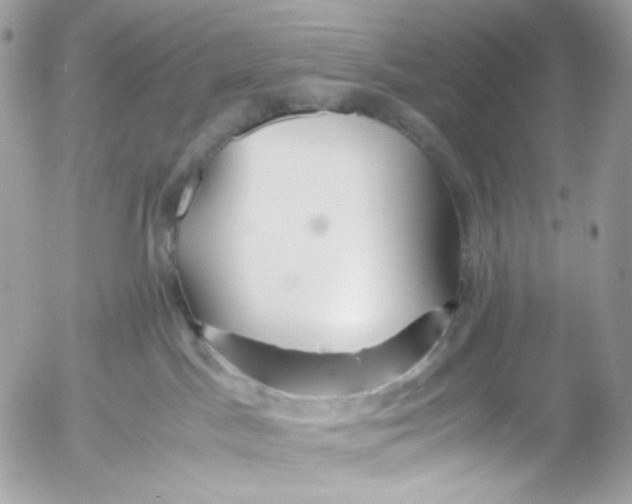 X0000052550045200507221502