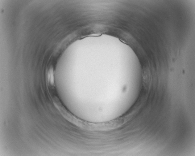 X0000052550046200507221502