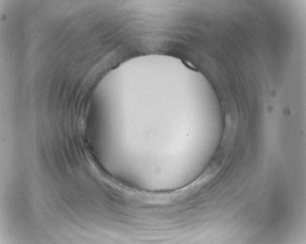 X0000052550048200507221502