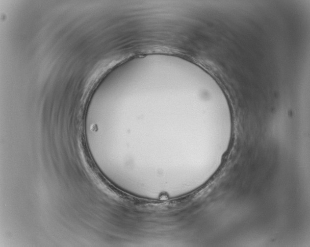 X0000052550049200507221501