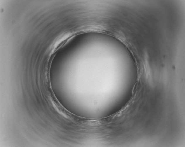 X0000052550050200507221501