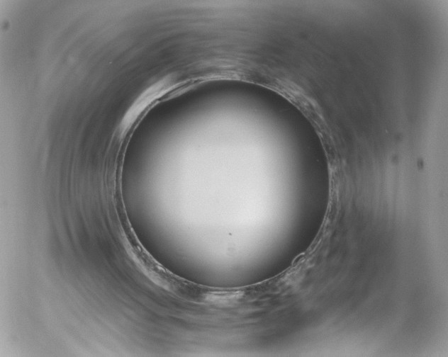 X0000052550051200507221501