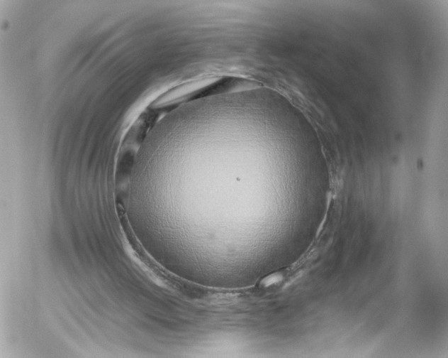 X0000052550052200507221501