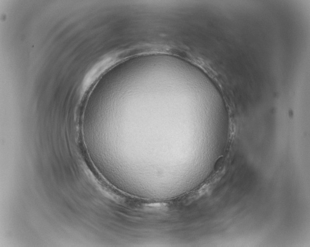 X0000052550053200507221501