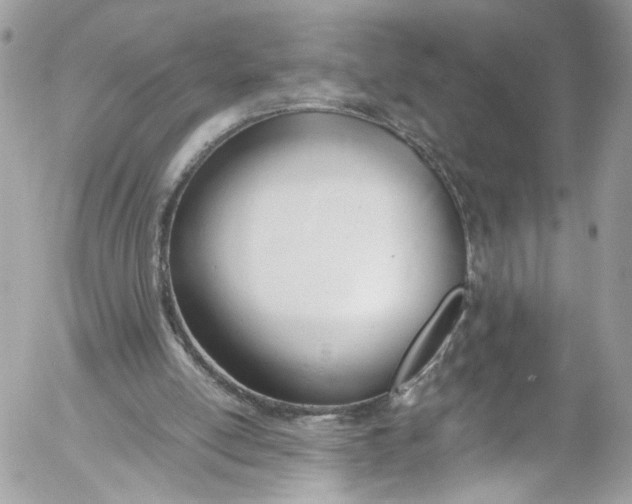 X0000052550054200507221501