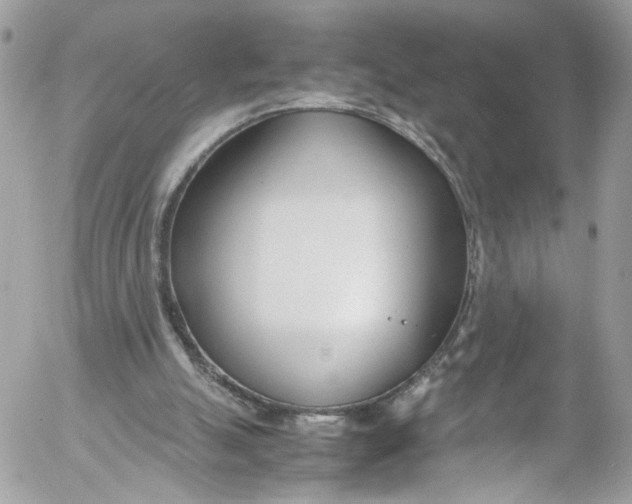 X0000052550055200507221501