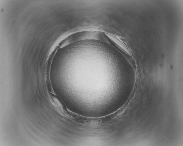 X0000052550056200507221501