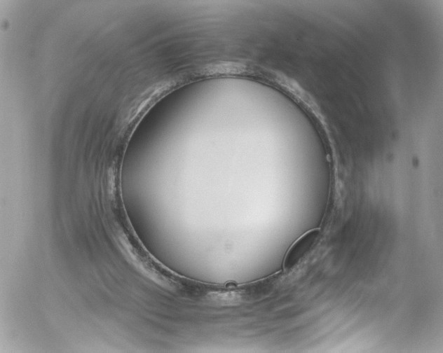 X0000052550057200507221501