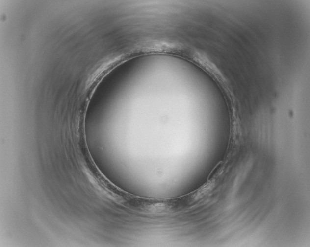 X0000052550058200507221501