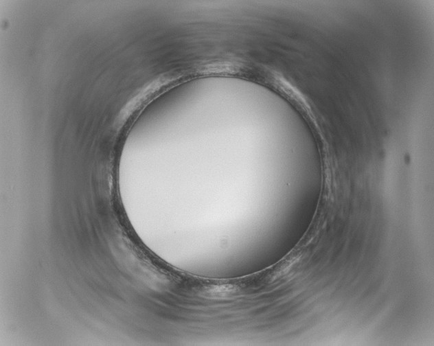 X0000052550059200507221501