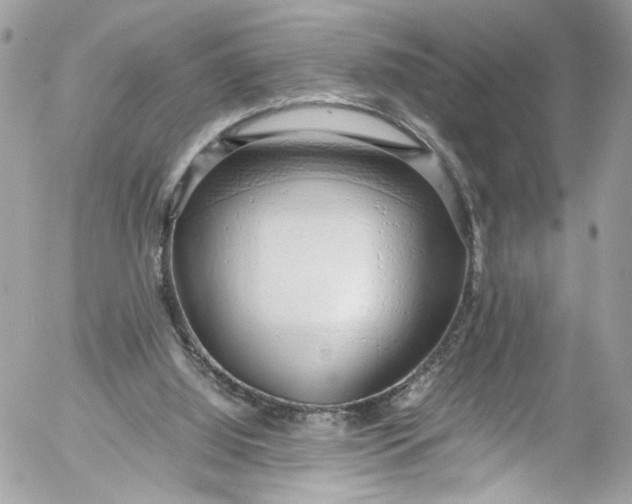 X0000052550060200507221501