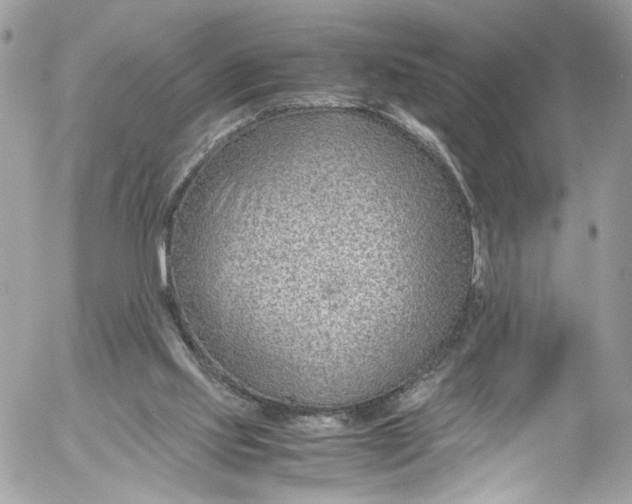 X0000052550061200507221501