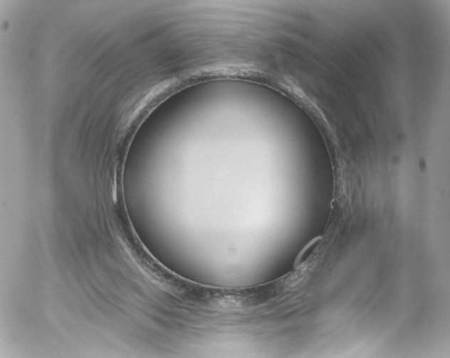 X0000052550062200507221501