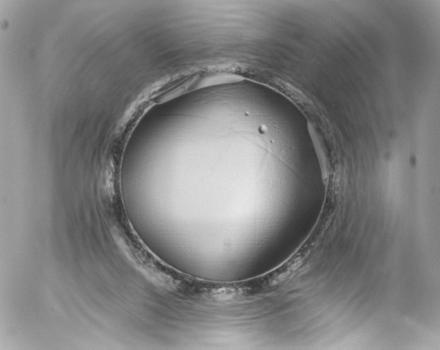 X0000052550064200507221502