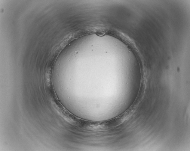 X0000052550065200507221502