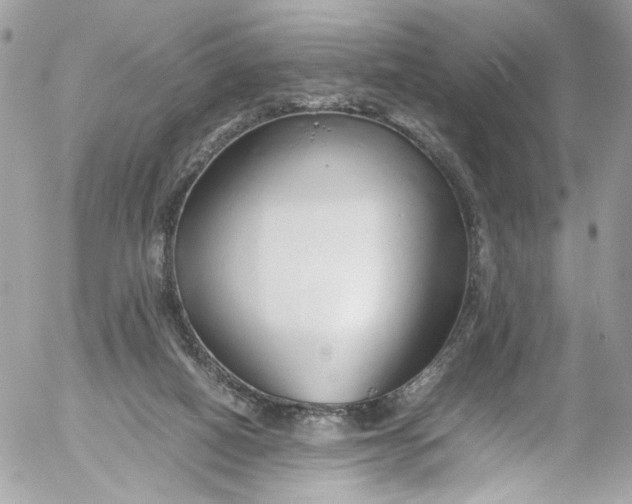 X0000052550066200507221502