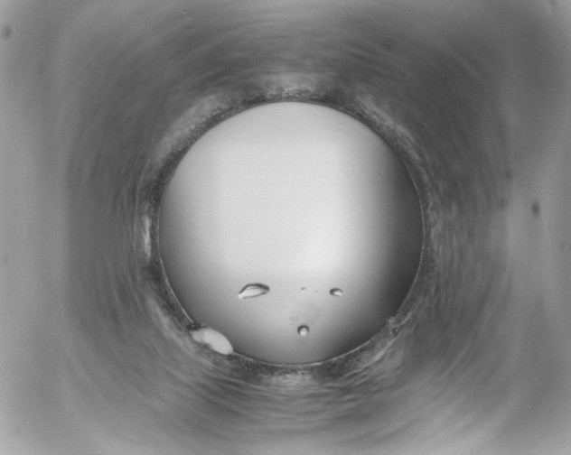 X0000052550067200507221502