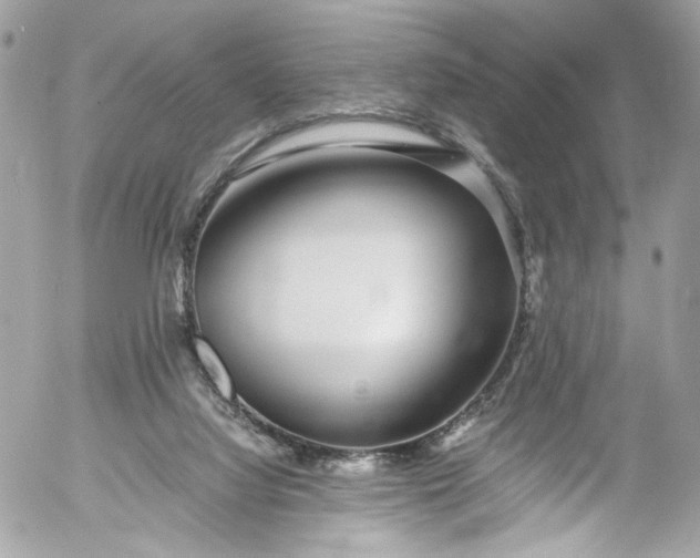 X0000052550068200507221502